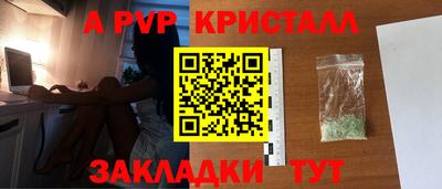 индика Гай