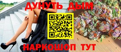 индика Гай