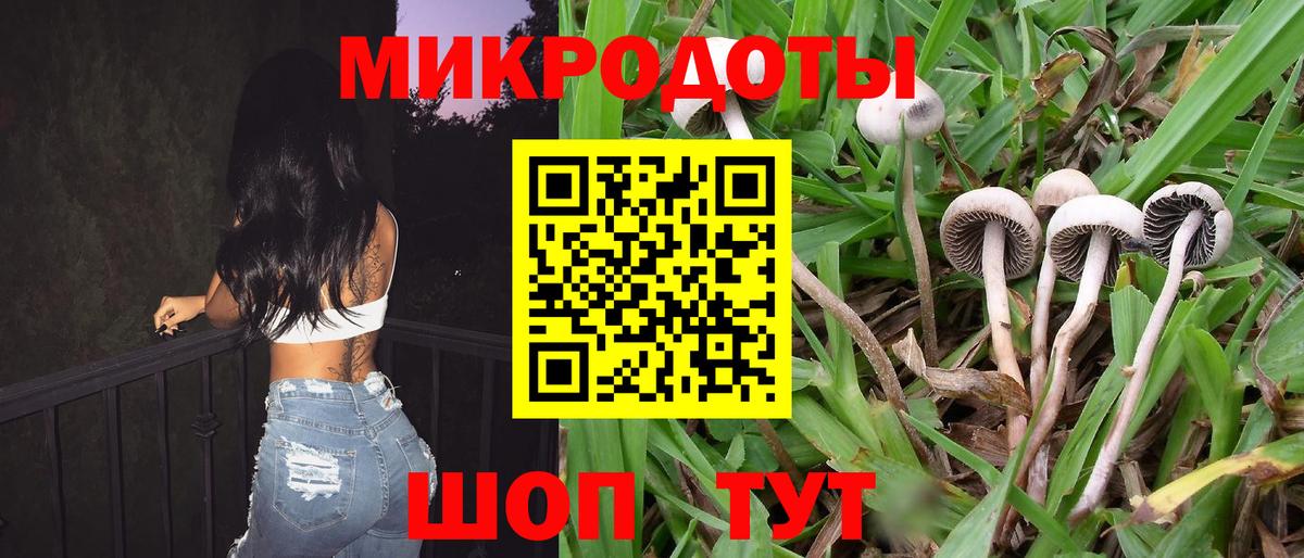 Псилоцибиновые грибы ЛСД  купить наркотики цена  Вход с VPN  Вологда  Галлюциногенные грибы Cubensis 